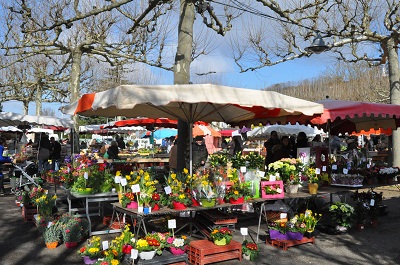 Marché traditionnel