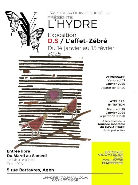 D.S/ L’effet zébré : Exposition collectif d'ar ...