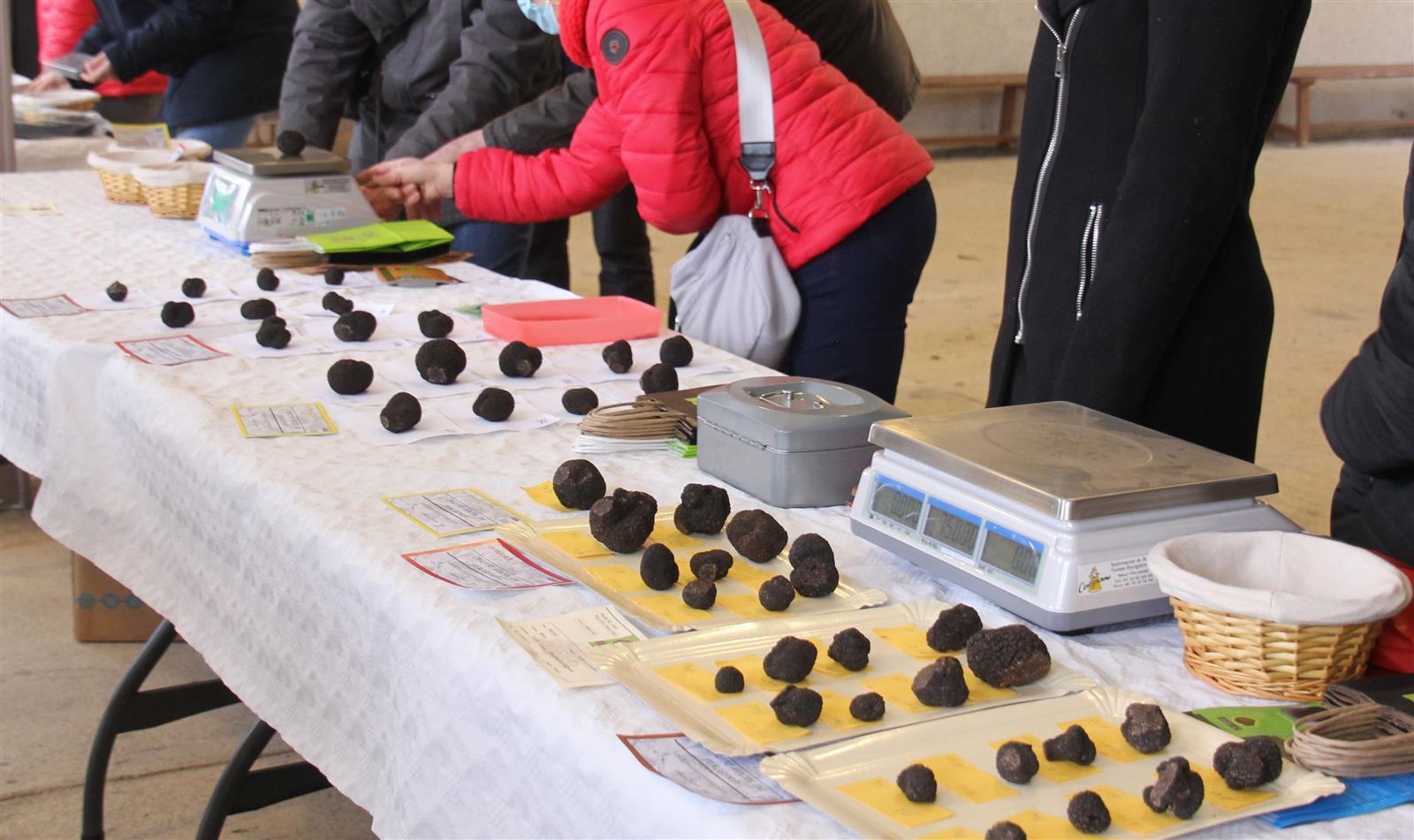 Marché aux truffes