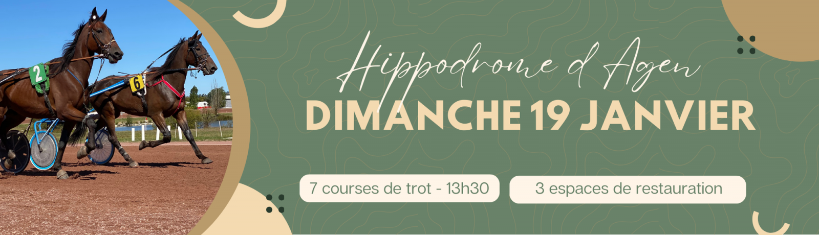 Courses Hippiques