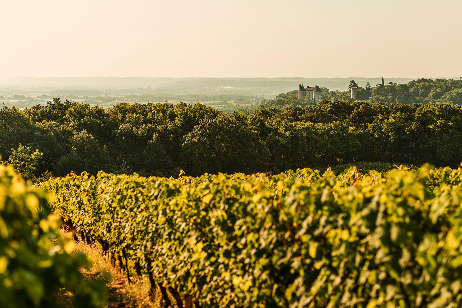 Les Vignerons de Buzet