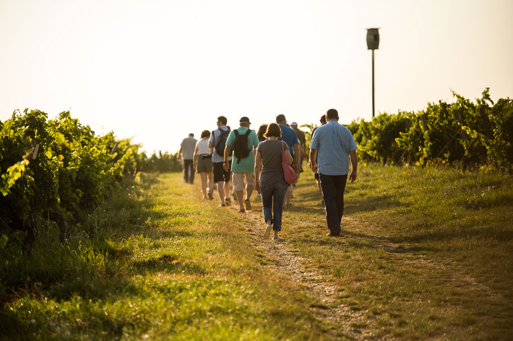 Les Vignerons de Buzet