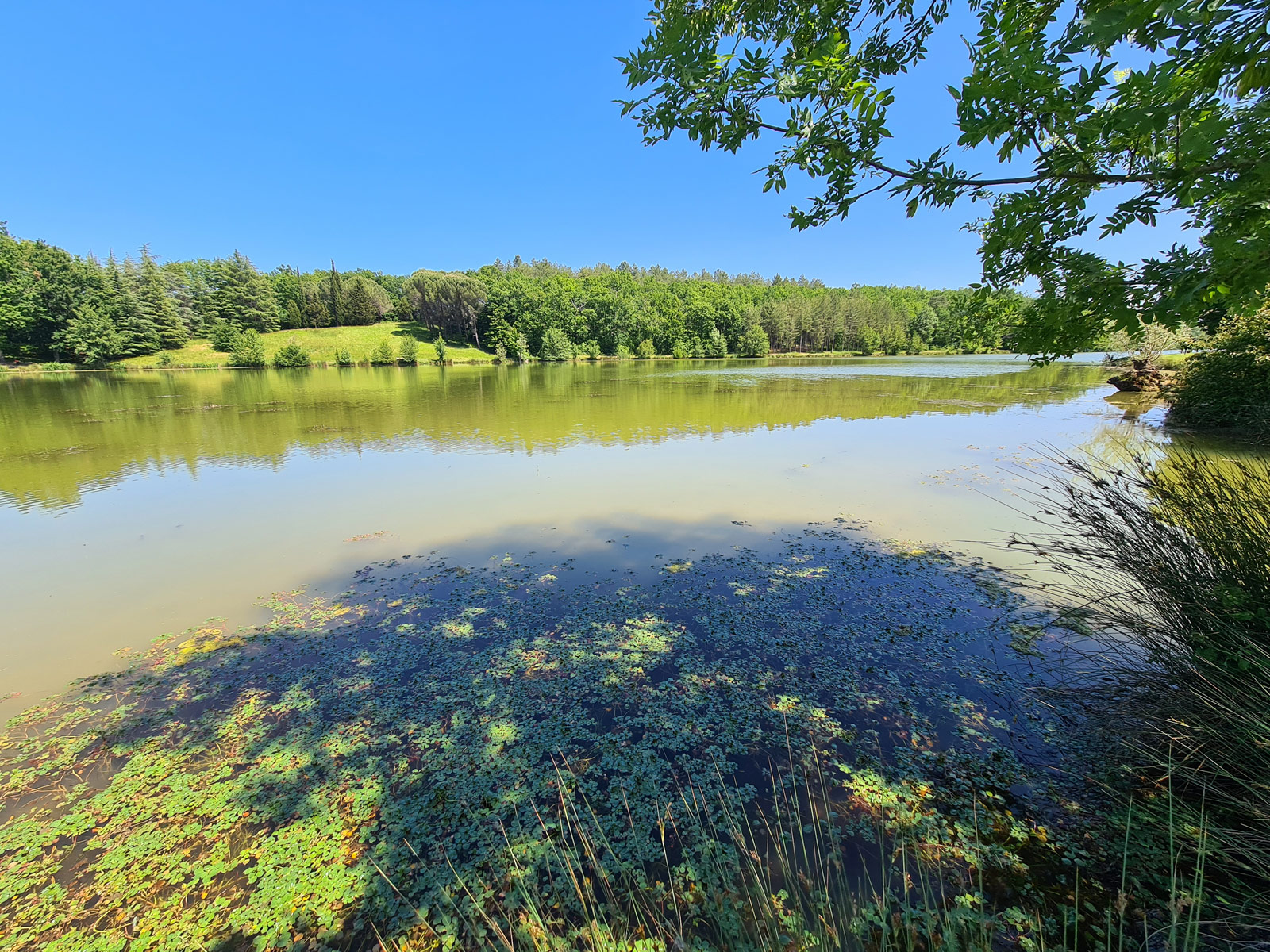 Lac du Saut du Loup