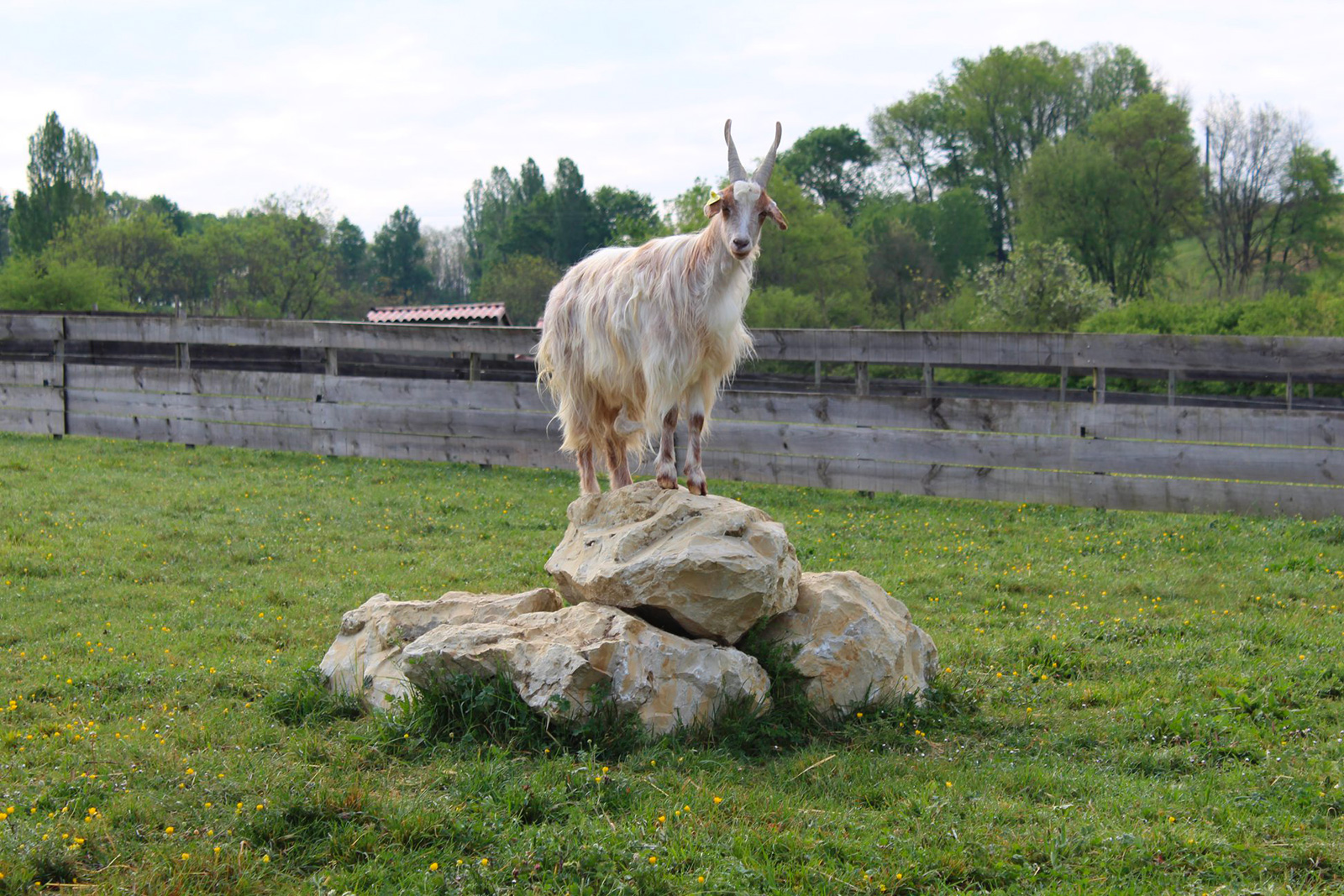 Parc du Griffon