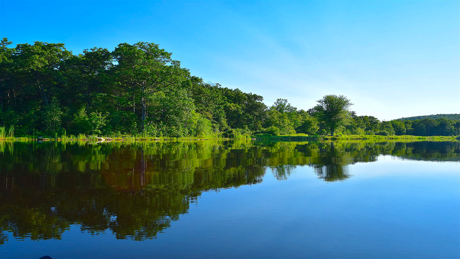 Domaine du lac de Neguenou