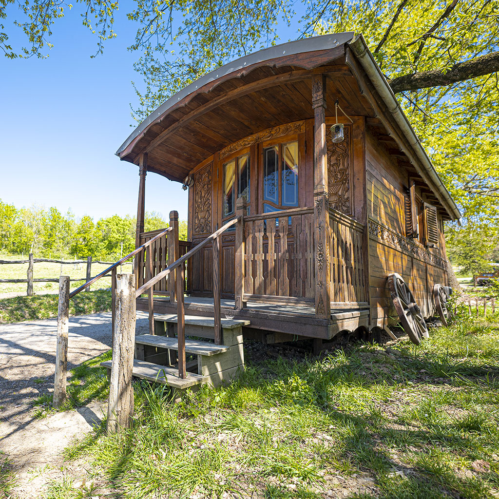 Profitez d'un séjour inoubliable au milieu des chevaux !  - Le Ranch Du Bel Air vous attend